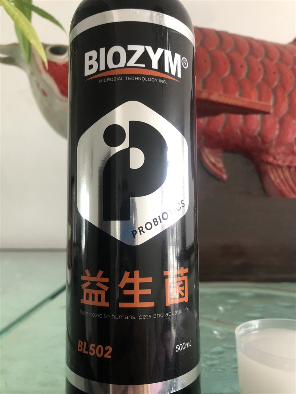 龍魚的寓意和象征放在手上的意思是啥