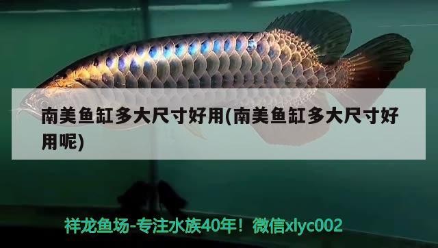 武侯區錦繡水族銷售部（武侯區錦繡水族銷售部電話）