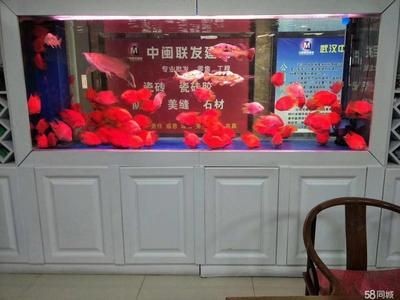 百因美魚缸安裝視頻教學(xué)