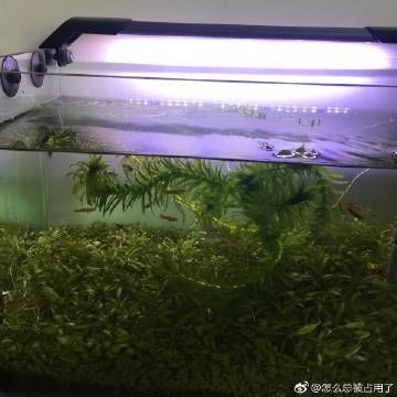 本地二手魚缸:關于本地二手魚缸的相關信息來自各城市的58同城網站 魚缸百科 第1張 本地二手魚缸:關于本地二手魚缸的相關信息來自各城市的58同城網站 本地二手魚缸:關于本地二手魚缸的相關信息來自各城市的58同城網站 魚缸百科 第1張