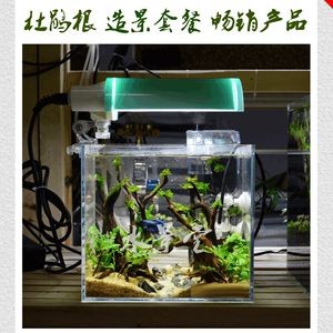 大魚缸適合放水草嗎視頻：魚缸養水草有哪些優點 大魚缸適合放水草嗎視頻：魚缸養水草有哪些優點 魚缸百科 第3張