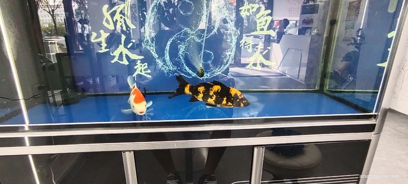 好起來了呀！狀態(tài)起飛