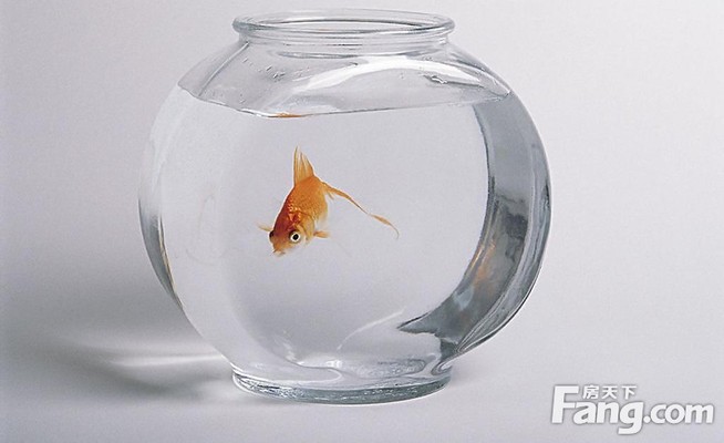 威海高技術(shù)產(chǎn)業(yè)開發(fā)區(qū)裕源水族店（威海裕洋水產(chǎn)品有限公司）