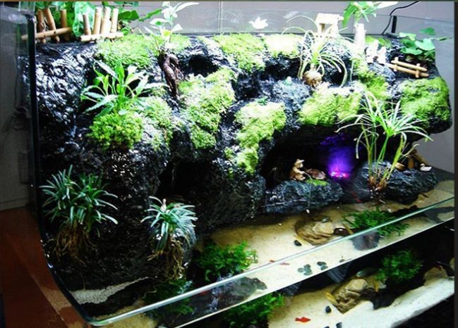 大型魚魚缸造景圖案設計：大型魚魚缸造景圖案設計圖案設計方案和圖案和圖案