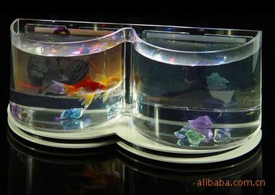 玻璃魚缸跟亞克力魚缸的區(qū)別：亞克力魚缸與玻璃魚缸各有優(yōu)缺點