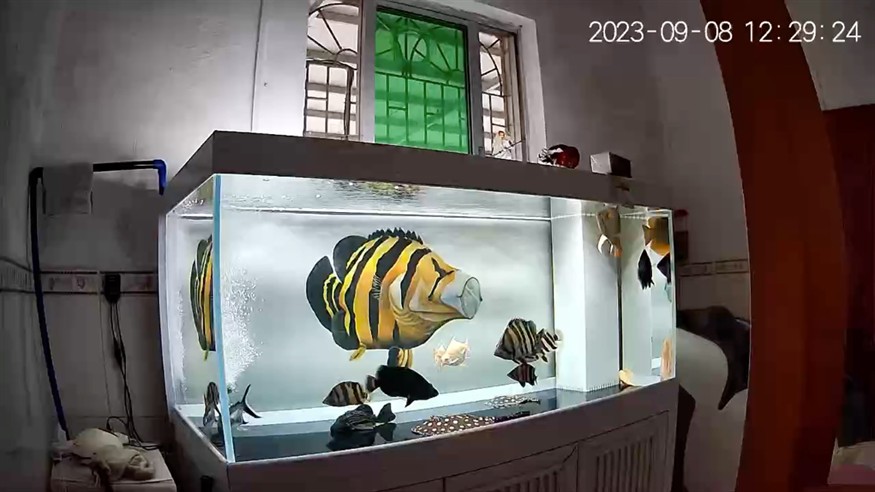 冒個泡。