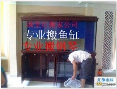 搬家公司搬魚缸多少錢一個月工資：搬家公司搬魚缸多少錢一個月工資搬家公司收費標準
