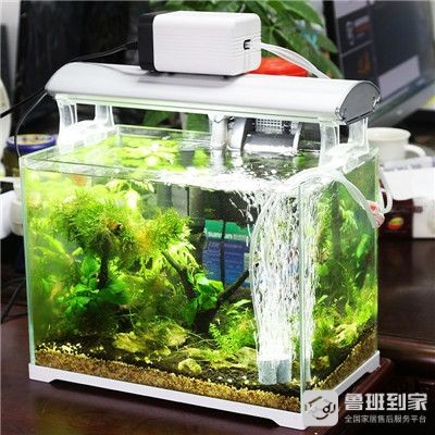 大型魚缸過濾器哪種好用又實惠
