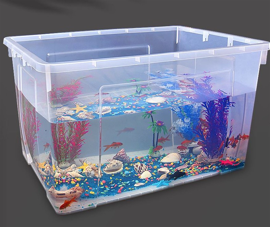 斗魚缸背景：如何選擇合適的斗魚缸背景 斗魚缸背景：如何選擇合適的斗魚缸背景 魚缸百科 第4張