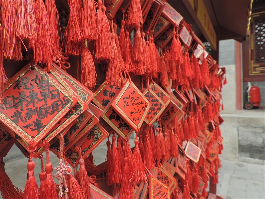 25厘米的龍魚(yú)配多大的虎魚(yú)好看一點(diǎn)(龍魚(yú)跟虎魚(yú)尺寸怎么搭配)