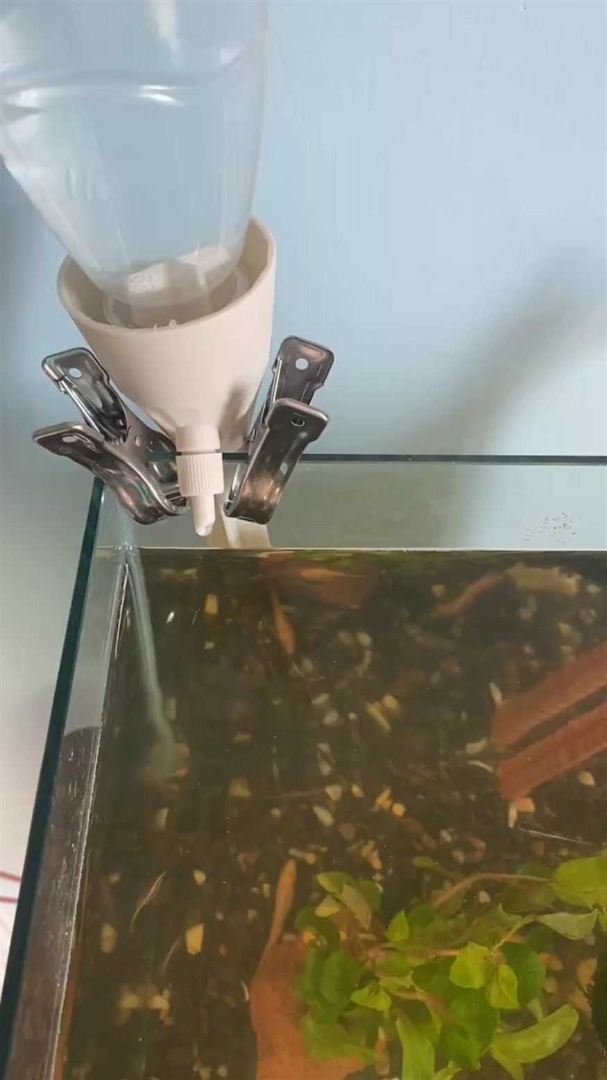 小缸滴水增氧大法