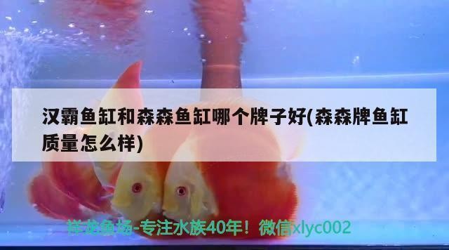 富拉爾基四季水族館（富拉爾基花鳥魚市場） 富拉爾基四季水族館（富拉爾基花鳥魚市場） 全國水族館企業名錄 第1張