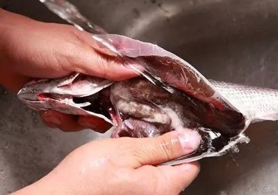 不用清理魚缸的魚是什么魚：如何選擇合適的清潔魚