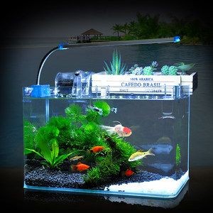 便宜的魚缸造景好嗎多少錢：便宜的魚缸造景價格在80-200元以上，總價220元左右
