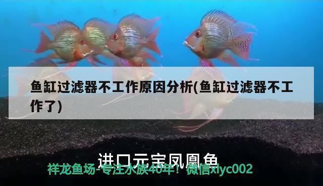 洛陽市洛龍區錦源水族館（洛陽市洛龍區錦源水族館電話）