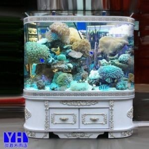 博山哪里買魚缸比較好的：博山哪里有賣魚缸的？