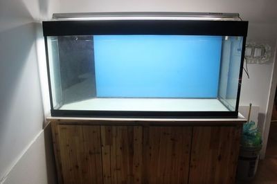 帶蓋魚缸改造無蓋：帶蓋的魚缸如何改造成無蓋的