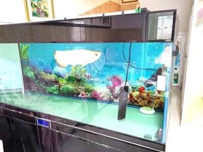 不用加溫的大型魚缸：不用加溫的大型魚缸如何保持水溫穩定水溫穩定