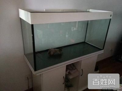 搬家魚缸提前搬可以嗎：魚缸搬家注意事項(xiàng)