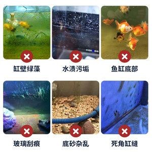 大型魚缸清理缸壁的方法：在清理大型魚缸時(shí)，有幾個(gè)步驟和方法可以幫助您有效去除缸壁上的污垢和藻類 大型魚缸清理缸壁的方法：在清理大型魚缸時(shí)，有幾個(gè)步驟和方法可以幫助您有效去除缸壁上的污垢和藻類 魚缸百科 第3張