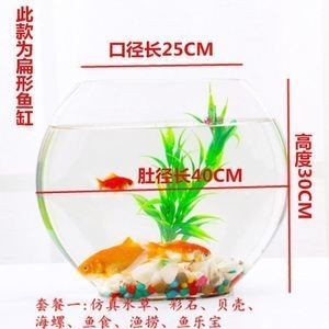 斗魚魚缸布景：關于斗魚魚缸布景的建議和步驟