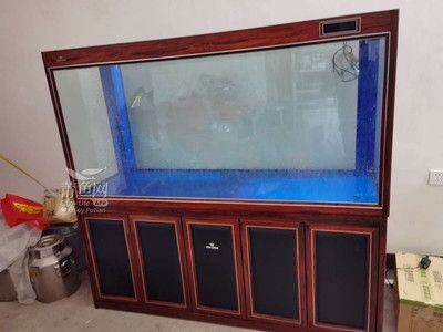 大魚缸拆裝：如何拆卸和安裝大魚缸