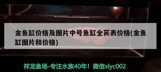 金魚缸價格及圖片中號魚缸全萇表價格(金魚缸圖片和價格)
