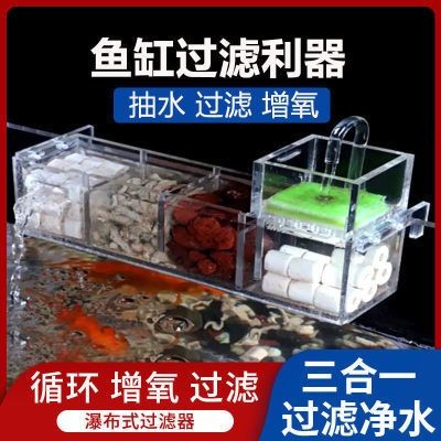 西城龍魚需要多大的魚缸，養西城龍魚需要多大的魚缸，西城龍魚需要多大的魚缸 西城龍魚需要多大的魚缸，養西城龍魚需要多大的魚缸，西城龍魚需要多大的魚缸 龍魚百科 第1張