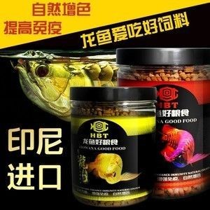 金龍魚幼苗吃什么飼料好養