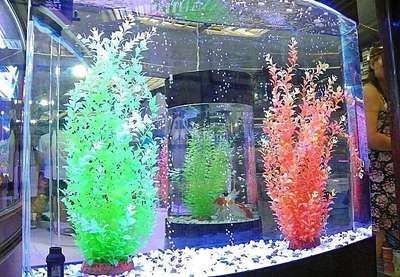 超白魚缸和浮法魚缸對比：如何選擇合適的魚缸材質？