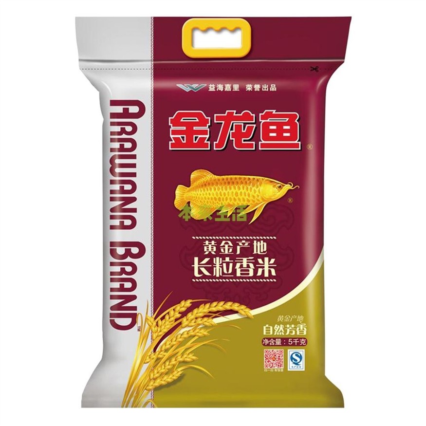 金龍魚長在哪里