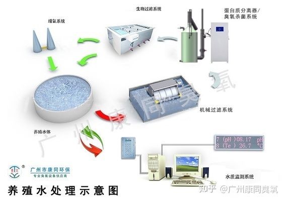 臭氧發生器用在魚缸好不好：臭氧發生器在水產養殖中的應用