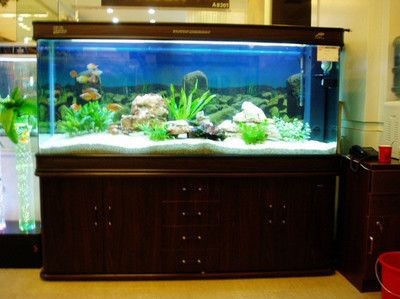 博雅水族魚缸兩側濾芯怎么拆卸：博雅水族魚缸具體拆卸方法博雅水族魚缸濾芯拆卸方法
