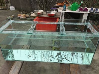 成品魚缸包邊怎么拆：如何拆卸魚缸包邊