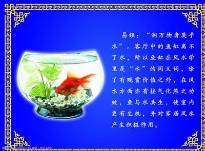 對魚缸里的魚的描寫句子:魚缸生態(tài)揭秘 魚缸百科 第1張 對魚缸里的魚的描寫句子:魚缸生態(tài)揭秘 對魚缸里的魚的描寫句子:魚缸生態(tài)揭秘 魚缸百科 第1張