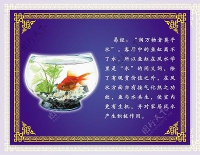 對魚缸里的魚的描寫句子:魚缸生態(tài)揭秘 魚缸百科 第4張 對魚缸里的魚的描寫句子:魚缸生態(tài)揭秘 對魚缸里的魚的描寫句子:魚缸生態(tài)揭秘 魚缸百科 第4張
