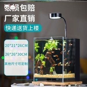 不插電過濾水魚缸：不插電過濾水魚缸的制作方法
