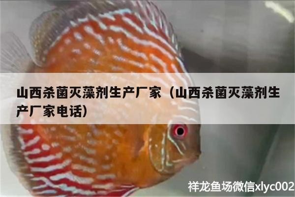 山西殺菌滅藻劑生產廠家（山西殺菌滅藻劑生產廠家電話） 山西殺菌滅藻劑生產廠家（山西殺菌滅藻劑生產廠家電話） 虎魚百科