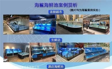 超市魚缸的魚該怎么養(yǎng)好活：在超市的魚缸中養(yǎng)殖注意事項在放養(yǎng)前需要注意以下幾個方面
