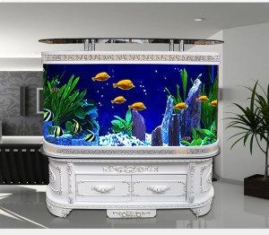 大型魚缸魚缸：大型魚缸的安全隱患