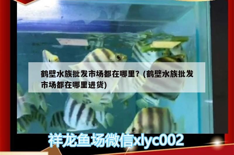 花老虎魚養殖技術，花老虎魚的功效與作用