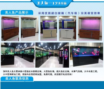 龍魚虎魚寓意好嗎（龍魚虎魚寓意好嗎圖片）