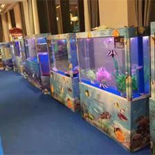 玻璃魚缸改造荷蘭豬家：如何將玻璃魚缸改造為荷蘭豬家