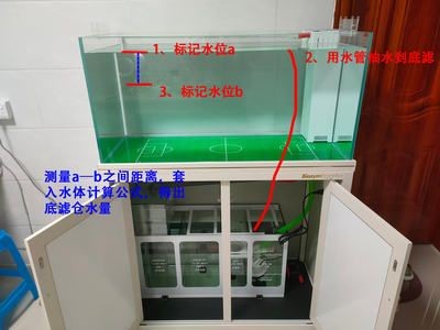 1.2米寬的魚缸一般多少升水：1.2米寬的魚缸一般多少升水，養魚時需要注意什么