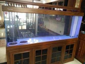 搬運魚缸多少錢一個平方米：搬運魚缸多少錢一個平方米搬家公司搬家公司服務流程