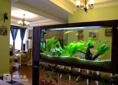 冬天魚缸水多久換一次
