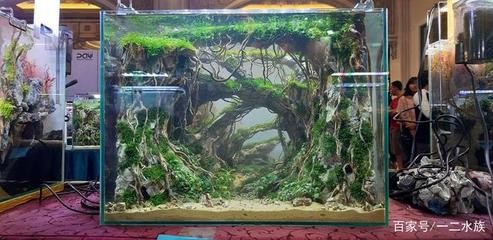 鞍山市經濟開發區勝利水族店（鞍山市經濟開發區勝利水族店電話）