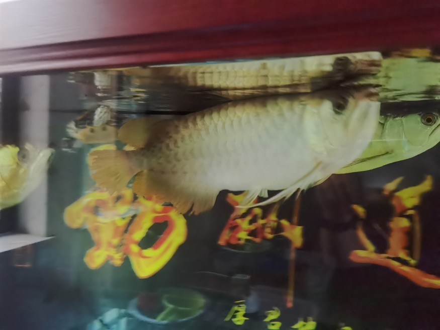 吃飯了