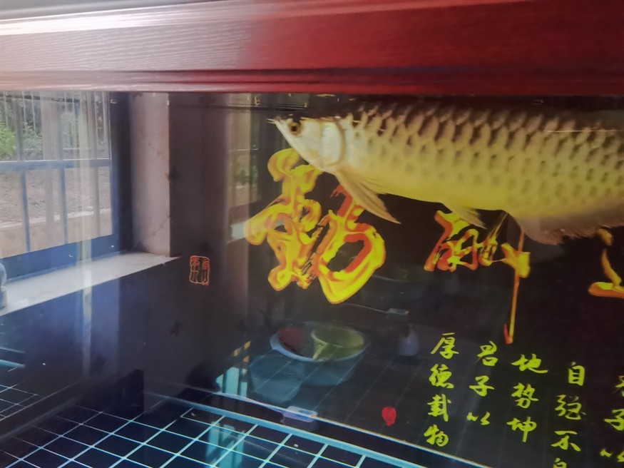 吃飯了