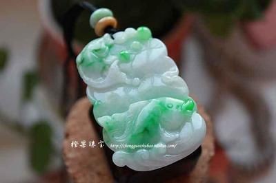 翡翠魚化龍寓意著什么意思 龍魚百科 第1張 翡翠魚化龍寓意著什么意思 翡翠魚化龍寓意著什么意思 龍魚百科 第1張